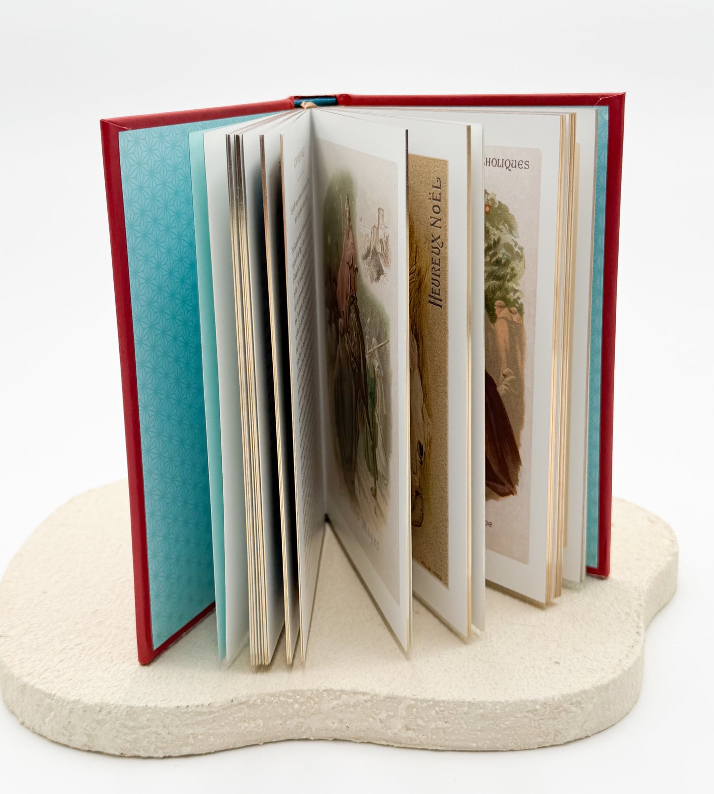 The Little Book of the Nativity